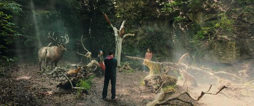 gallery-img-12
