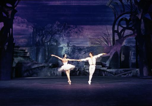 gallery-img-1