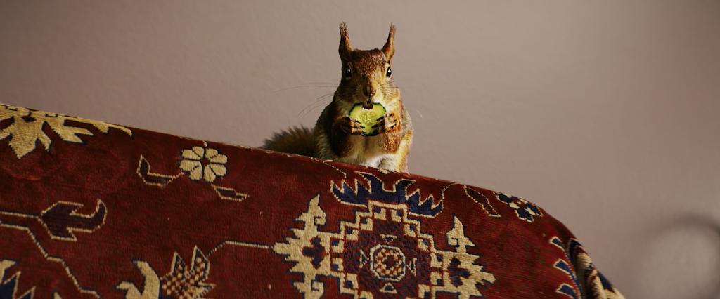 gallery-img-8