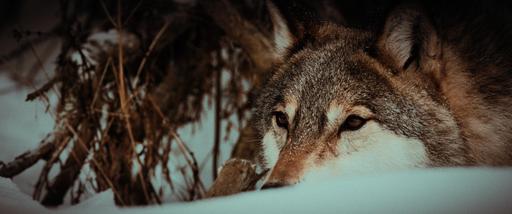 gallery-img-3