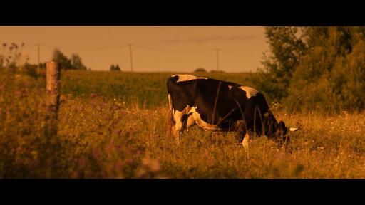 gallery-img-8