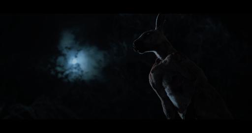 gallery-img-18