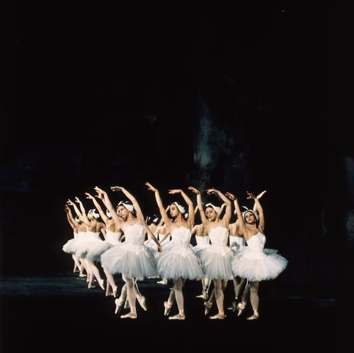 gallery-img-8