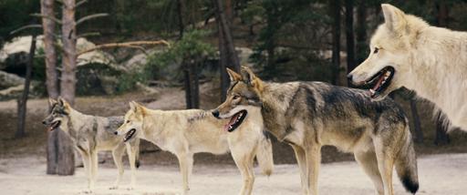 gallery-img-21