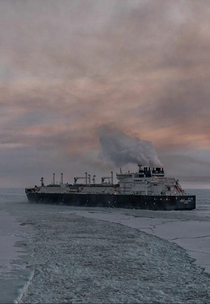 Северный морской путь. Дорога арктической жизни