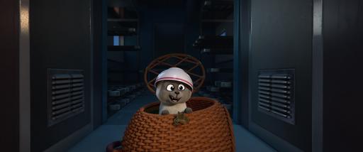 gallery-img-7
