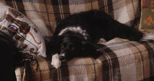 gallery-img-2