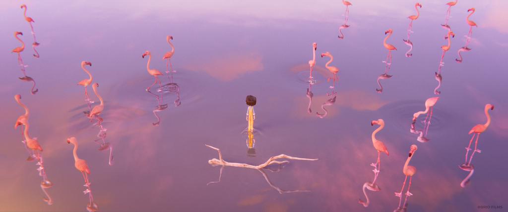 gallery-img-10