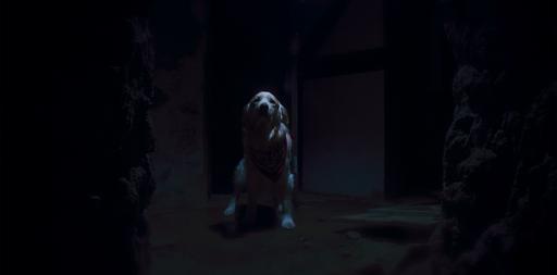 gallery-img-4